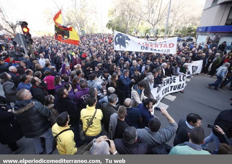 GALERÍA DE FOTOS -- Seguimiento de la manifestación protaurina -- Parte 2