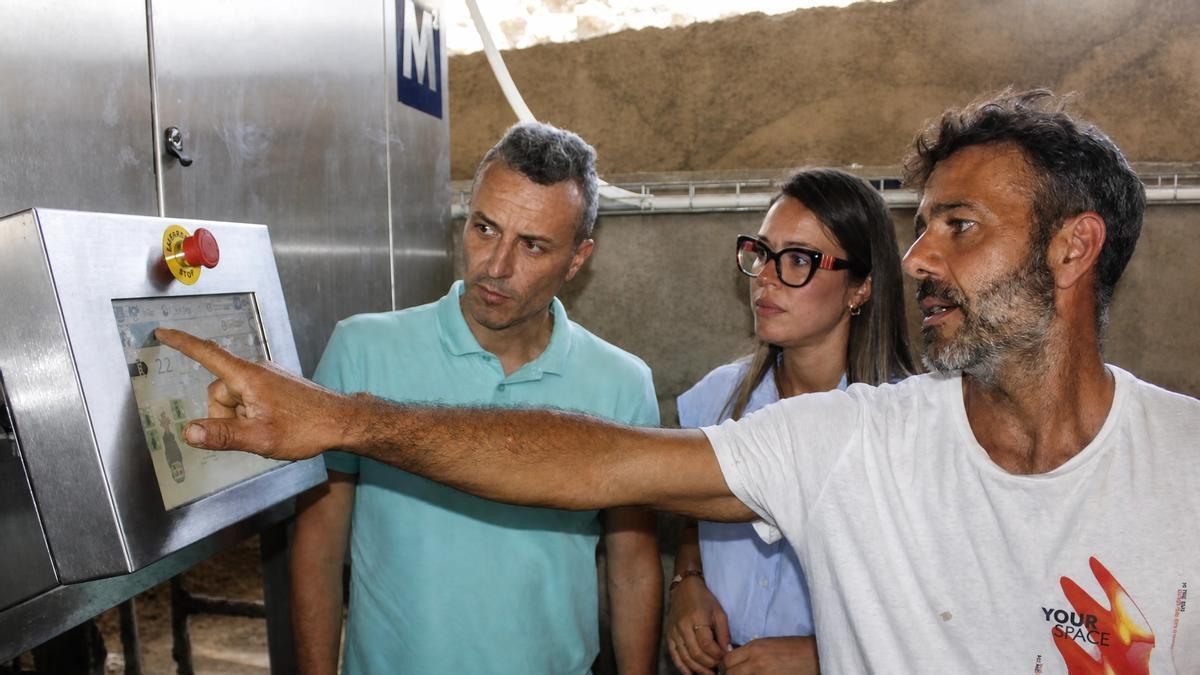 Guayacén ordeña sus vacas a distancia gracias a un robot integrado en su granja