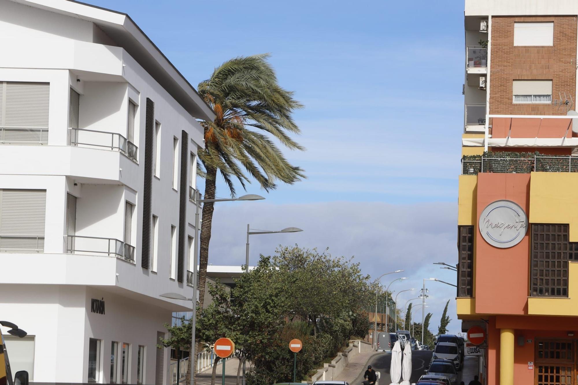 El viento sopla fuerte en Almussafes