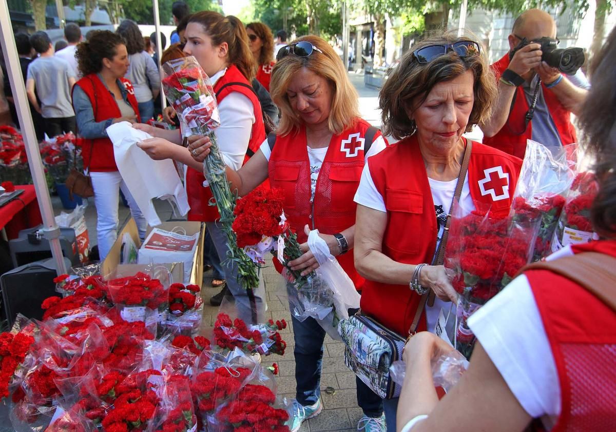 Cruz Roja reparte claveles por la igualdad