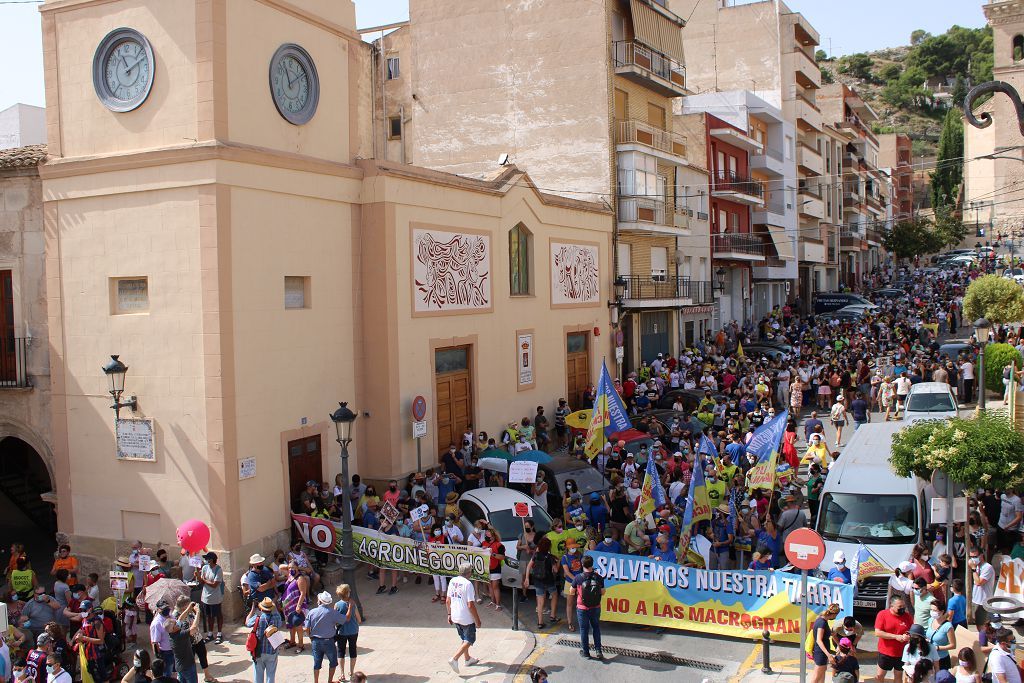 Miles de personas se manifiestan en Yecla contra un proyecto de macrogranja de cerdos