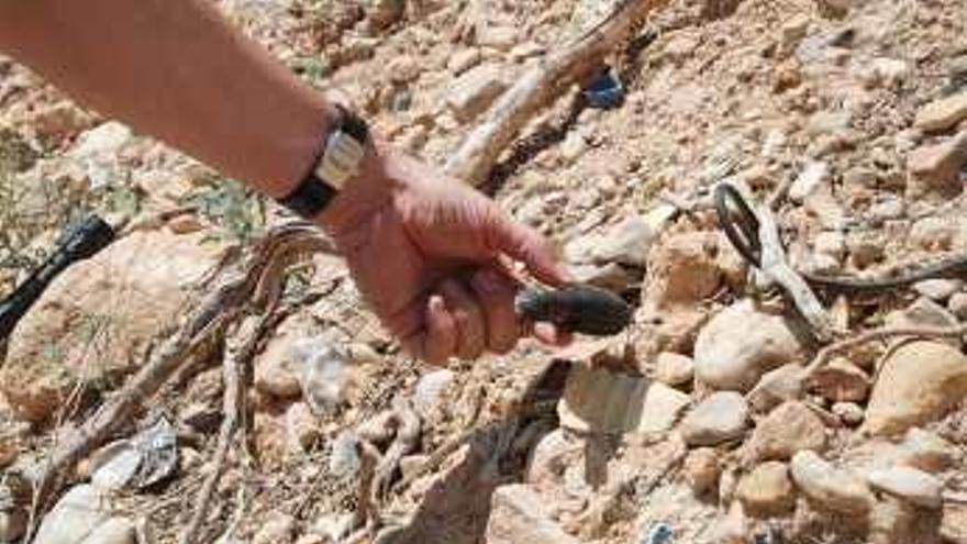 La CHS da largas al Seprona y no certifica la invasión de la Rambla Salada con basura