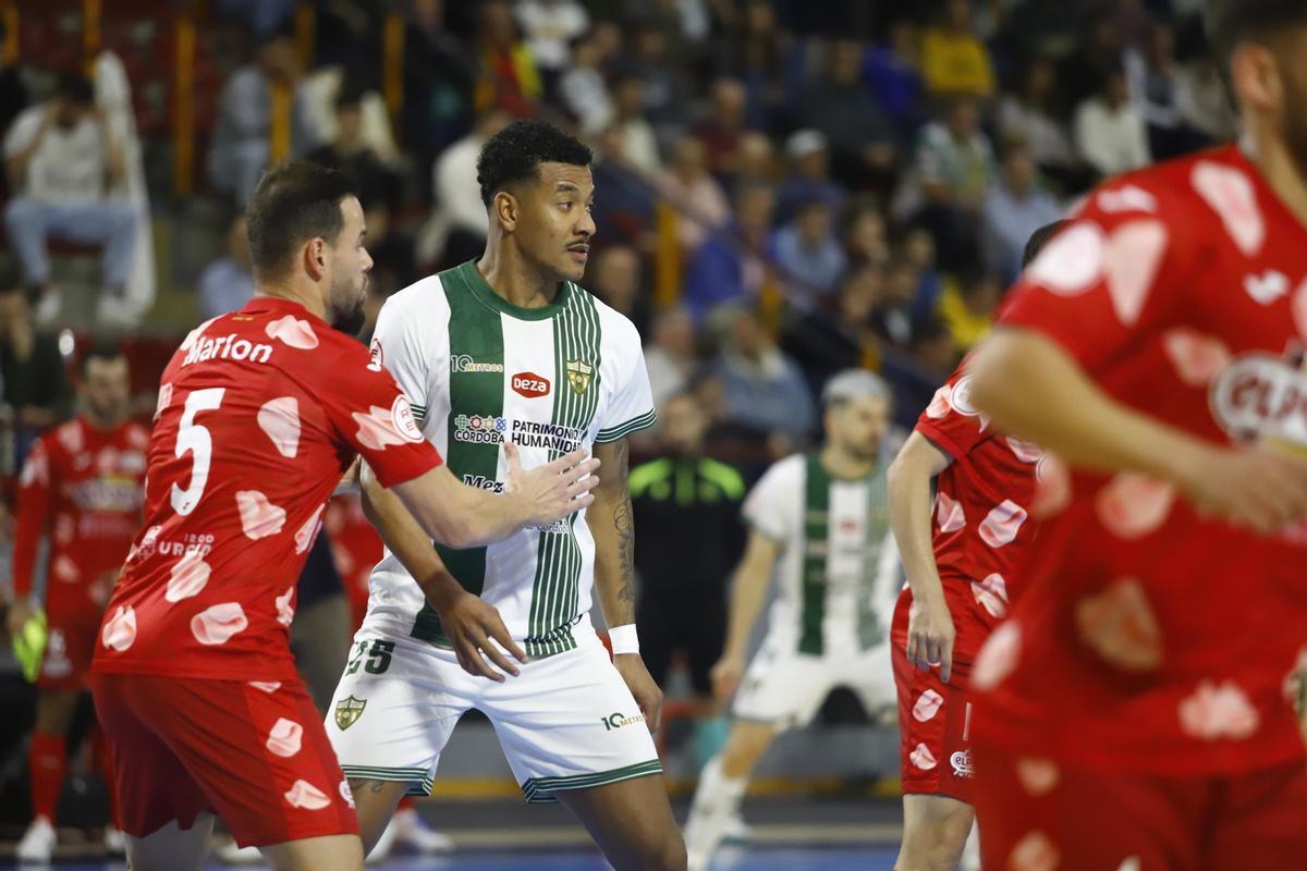 Córdoba Futsal-ElPozo Murcia | Las imágenes del partido en el Palacio Vista Alegre Córdoba Futsal-ElPozo Murcia | Las imágenes del partido en el Palacio Vista Alegre