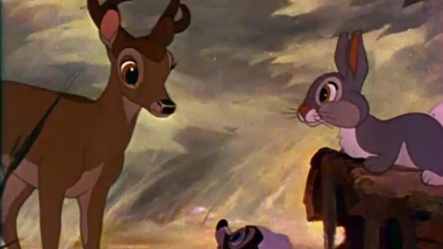 Condenan a un cazador furtivo estadounidense a ver &#039;Bambi&#039;