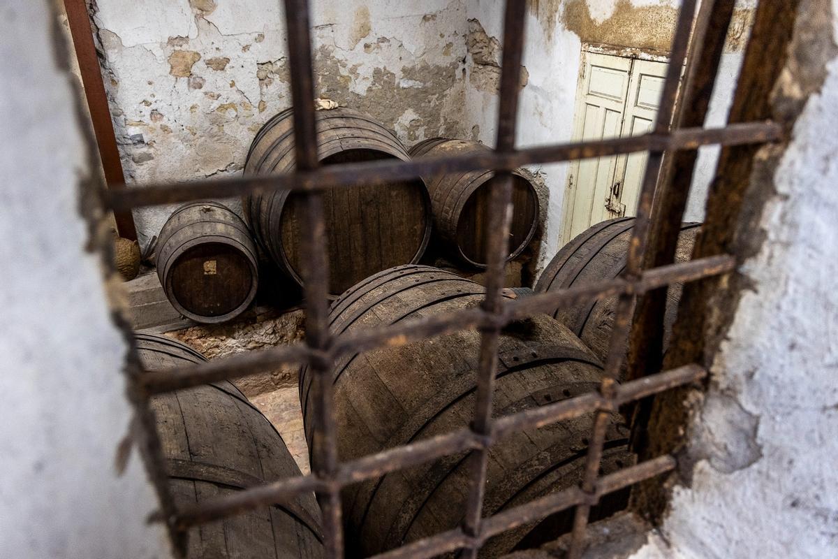 La finca Morote es la única bodega que queda de la antigua Huerta de Alicante