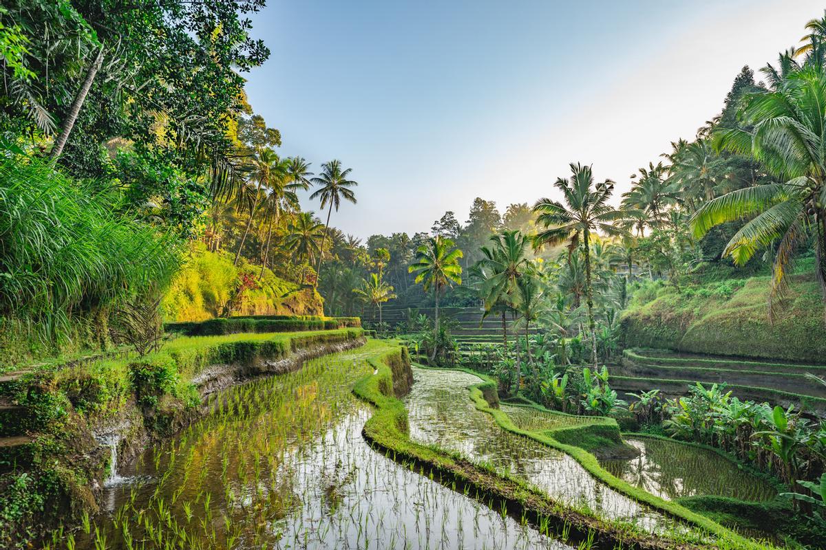 La isla de Bali es la más conocida de Indonesia