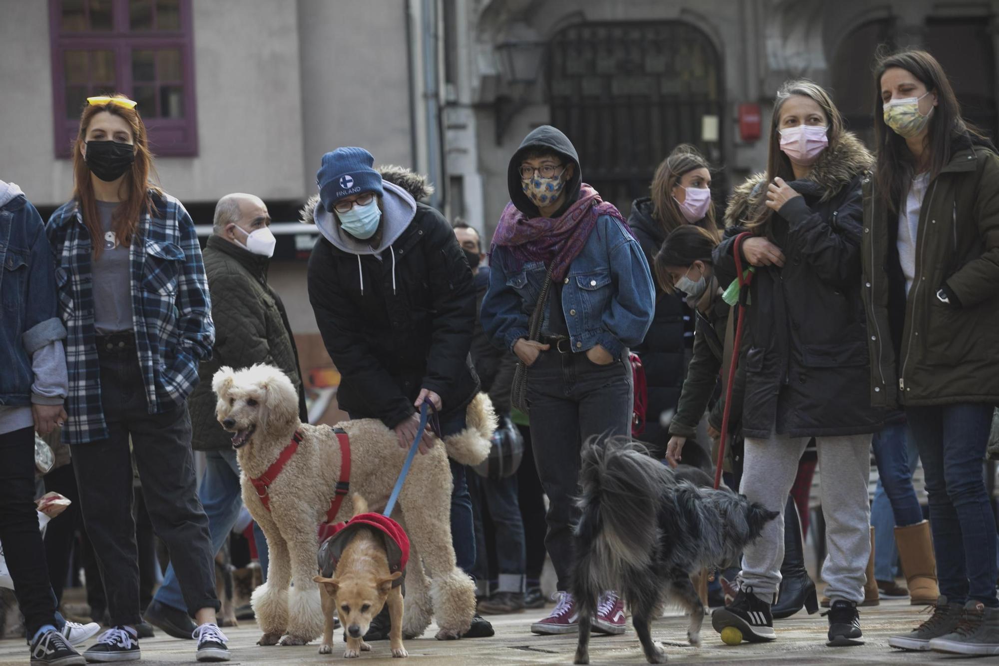 Protesta contra la nueva gestora del albergue de animales de La Bolgachina.