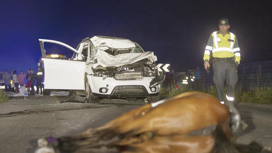 El caballo de la joven fallecida y, al fondo, el coche que los arrolló.