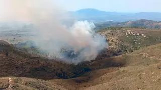 Los Bombers controlan un incendio forestal en Racó de l'Ermita al Coll de l'Alba, a Tortosa
