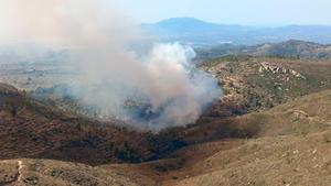 Los Bombers controlan un incendio forestal en Racó de lErmita al Coll de lAlba, a Tortosa