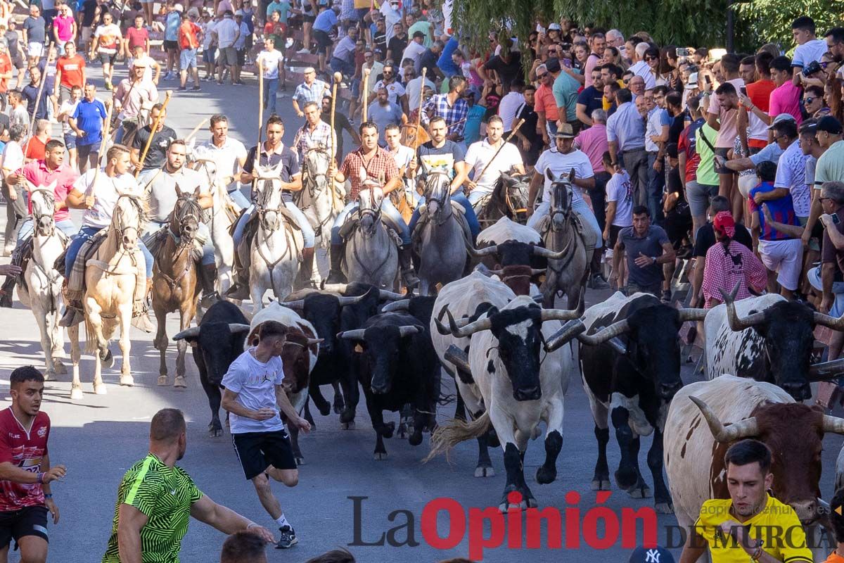 Último encierro en las Fiestas de Moratalla