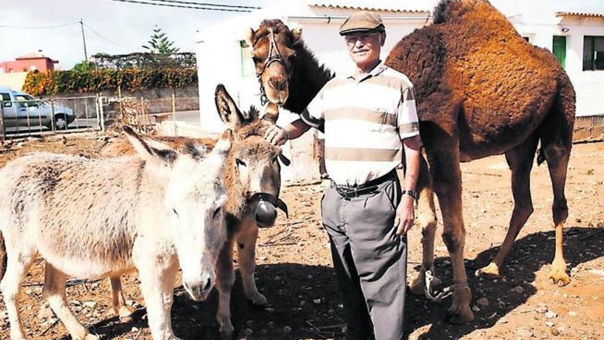 Burros majoreros para la jubilación