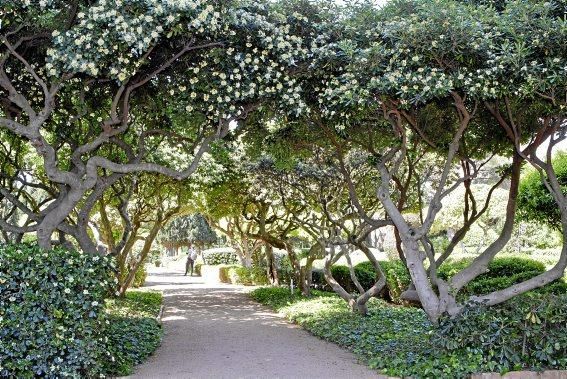 Lustwandeln wird zum Bürgerrecht. Die Gärten der königlichen Sommerresidenz in Palma öffnen erstmals für Besucher. Darüber freuen sich nicht nur Botanik-Fans, denn mit Skulpturen von Joan Miró kehr