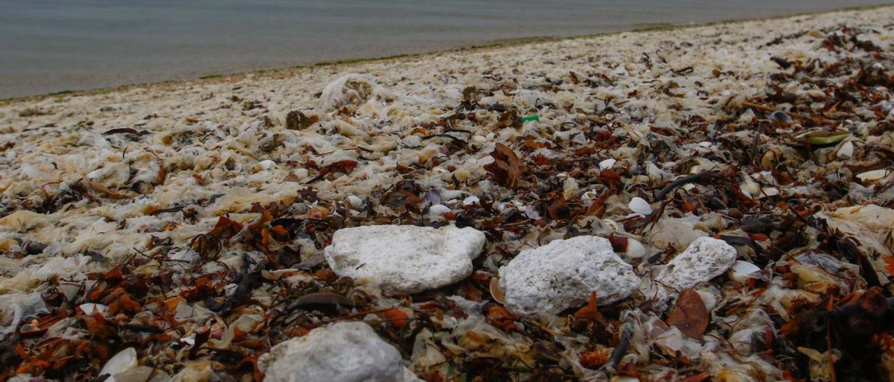 Algunas de las piedras de acúmulos de desperdicio en la playa de A Canteira.