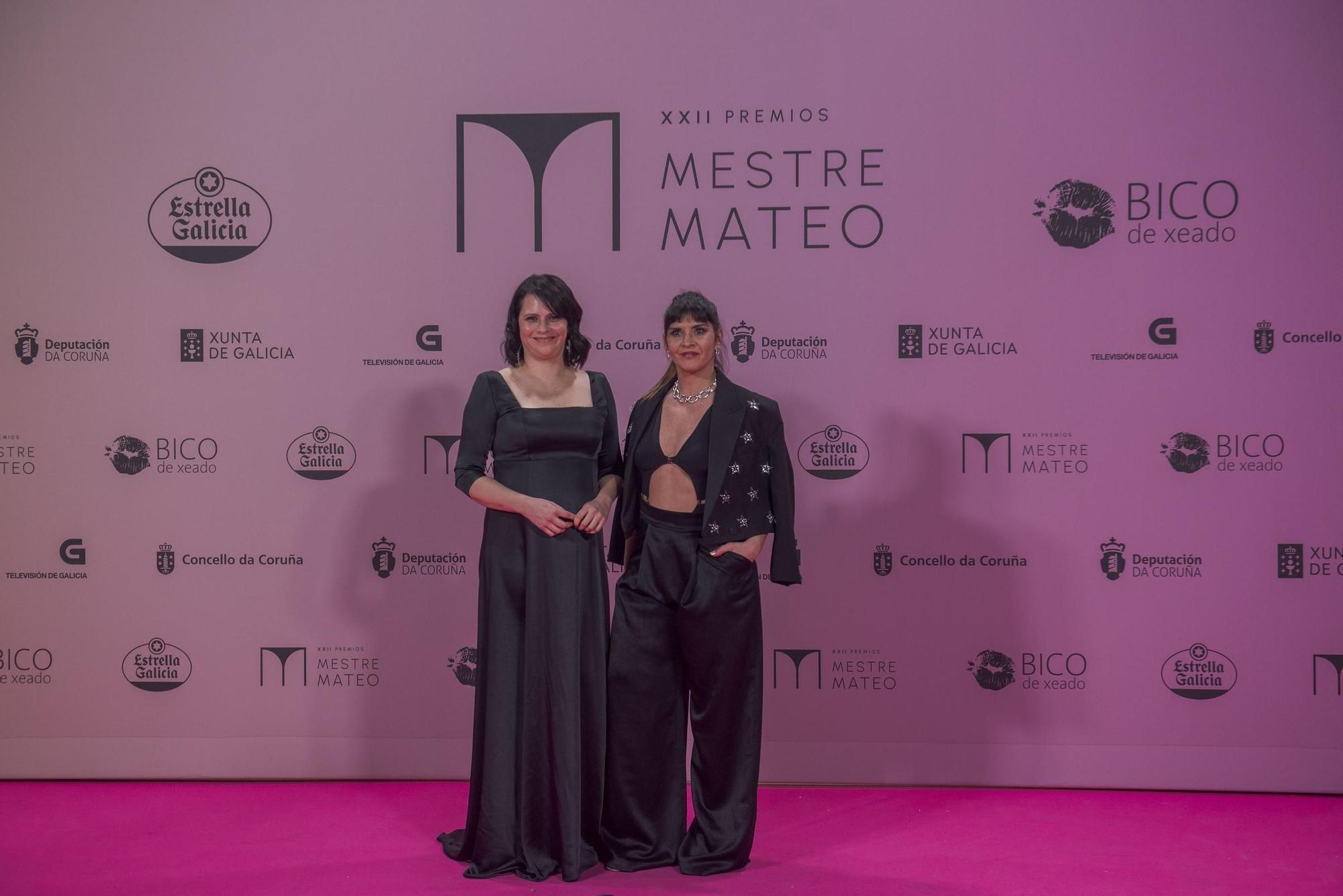 Gala dos premios Mestre Mateo 2024