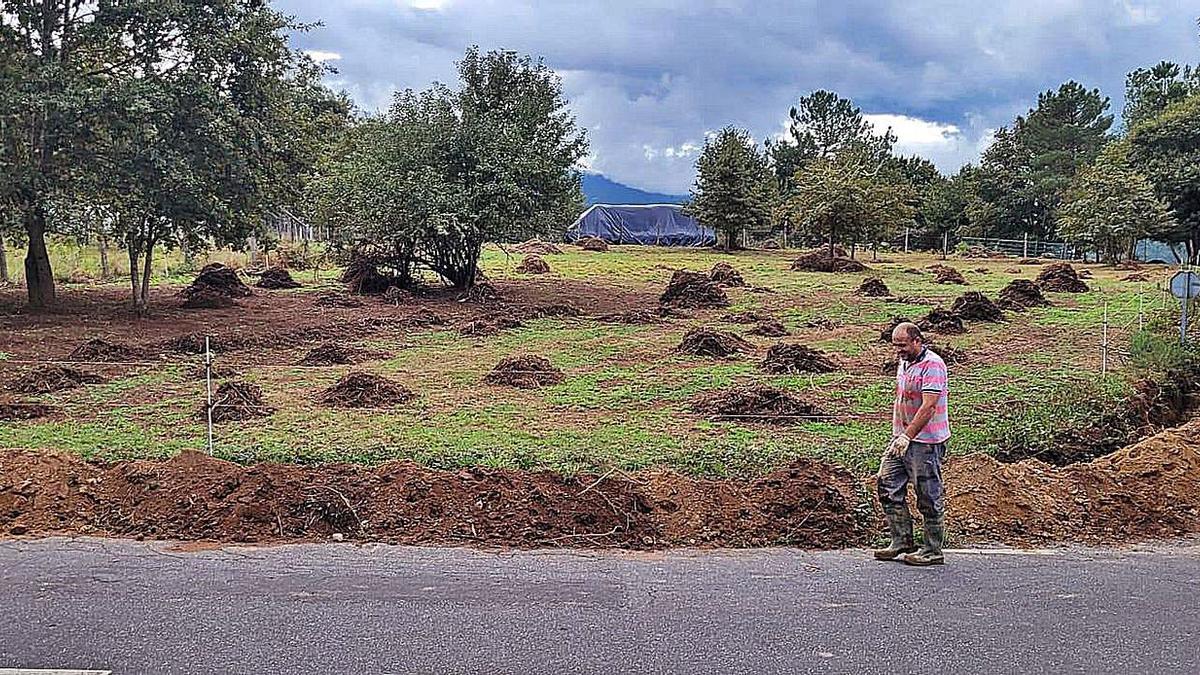 Obras para la limpieza del monte.