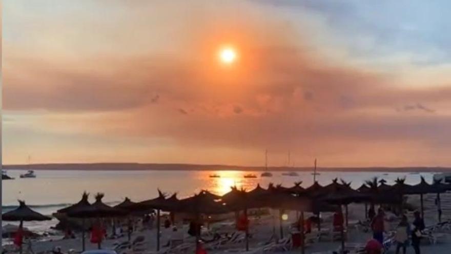 Vídeo: Así se ve el humo del incendio de Castellón desde Formentera