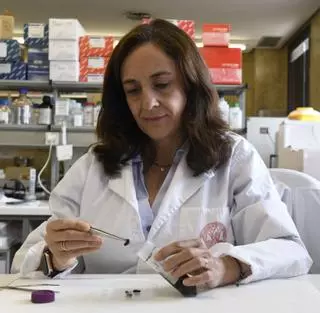 Pilar de la Rúa Tarín: "Sin estos insectos, gran parte de los alimentos que consumimos desaparecerían"