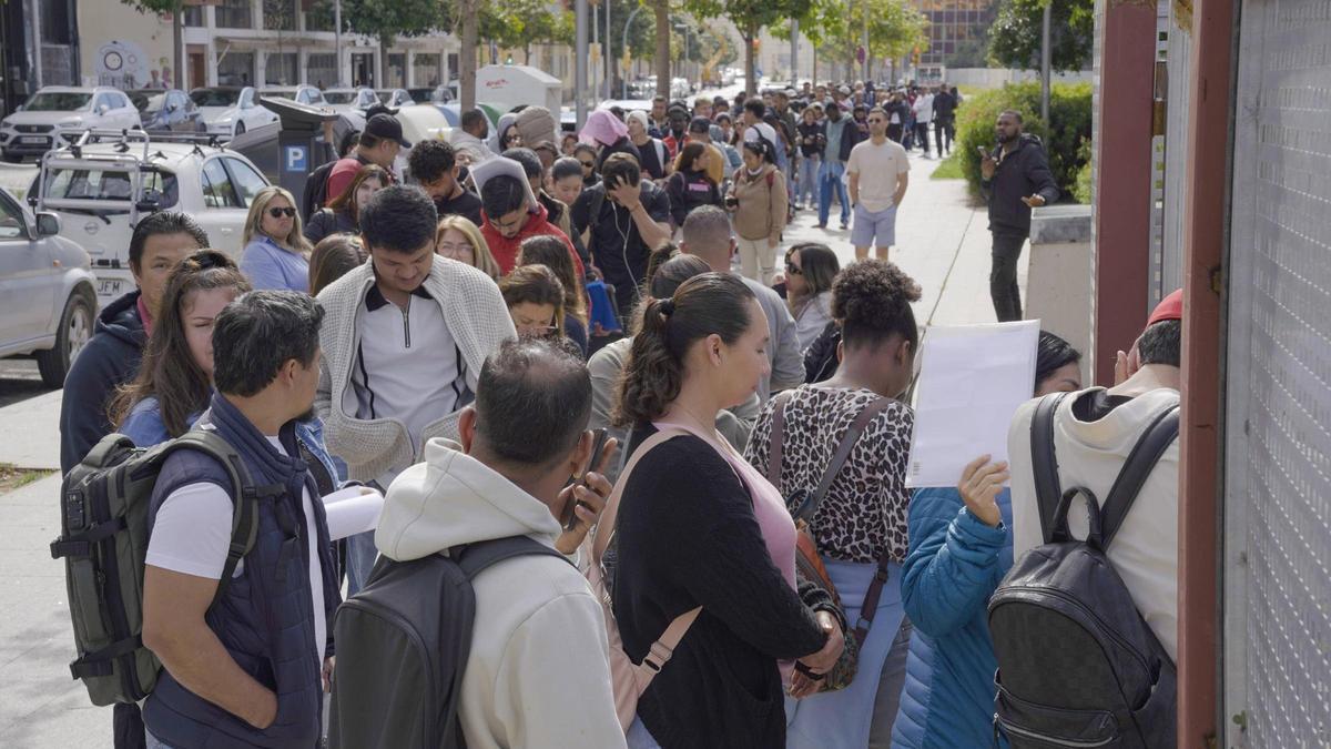Largas colas en Palma para obtener el informe de vulnerabilidad, clave en la regularización de inmigrantes