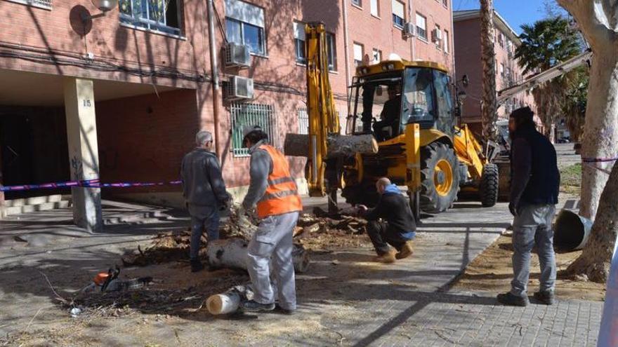 Las rachas de viento se saldan con árboles caídos y contenedores volcados en este Sábado de Pasión