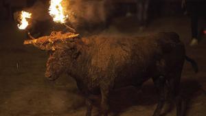 GRA036. MEDINACELI (SORIA), 13/11/2016.- El Toro Jubilo, el único toro de fuego que pervive en Castilla y León y que está en el punto de mira de las asociaciones animalistas, ha cumplido de nuevo esta noche su ritual, seguido por casi tres mil personas y protegido por fuertes medidas de seguridad para evitar que fuera boicoteado como hace dos años. Más de un centenar de miembros de los Cuerpos de Seguridad del Estado, junto con voluntarios de la asociación del Toro Jubilo, han controlado el acceso a la plaza Mayor medinense, desde primeras horas de la tarde. EFE/Wifredo García