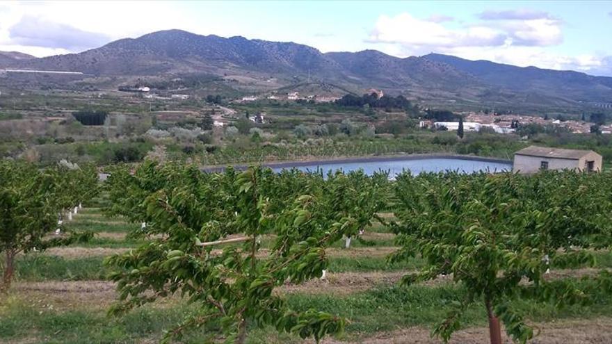 Unas cerezas de altura