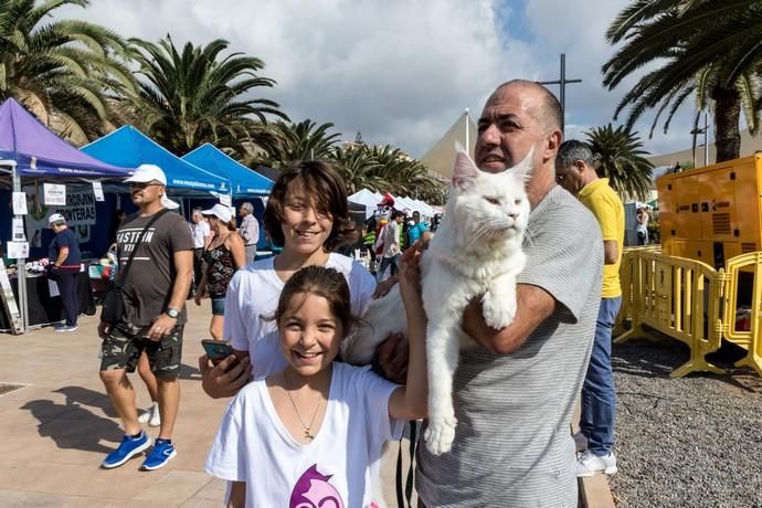 II Feria de Mascotas en Maspalomas