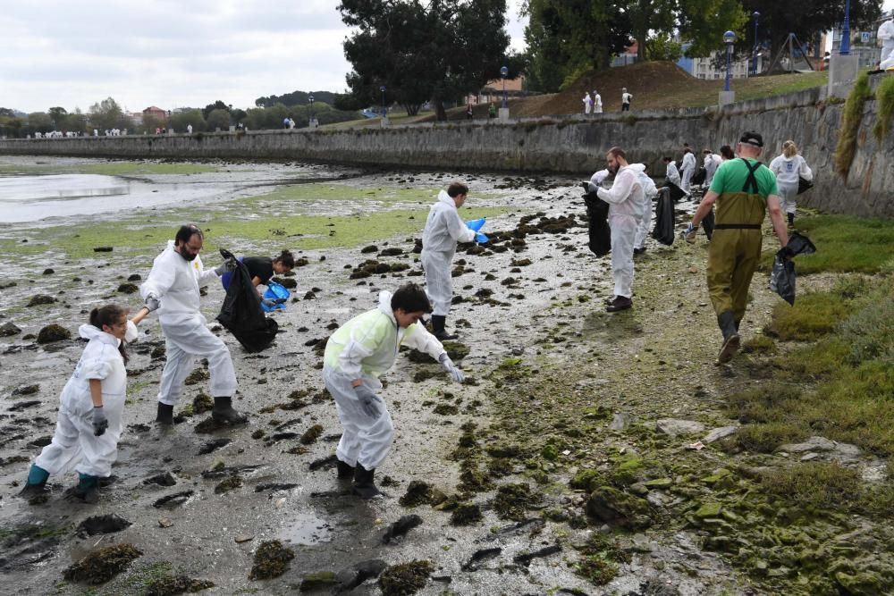 Gran limpieza de la ría de O Burgo