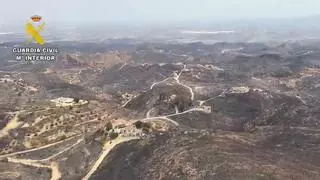 Las últimas imágenes aéreas del incendio de Los Gallardos muestran un paisaje devastado