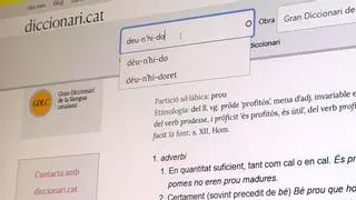 Del 'déu-n’hi-do' al 'biaix de gènere': qué buscan los 7 millones de usuarios del Diccionari.cat