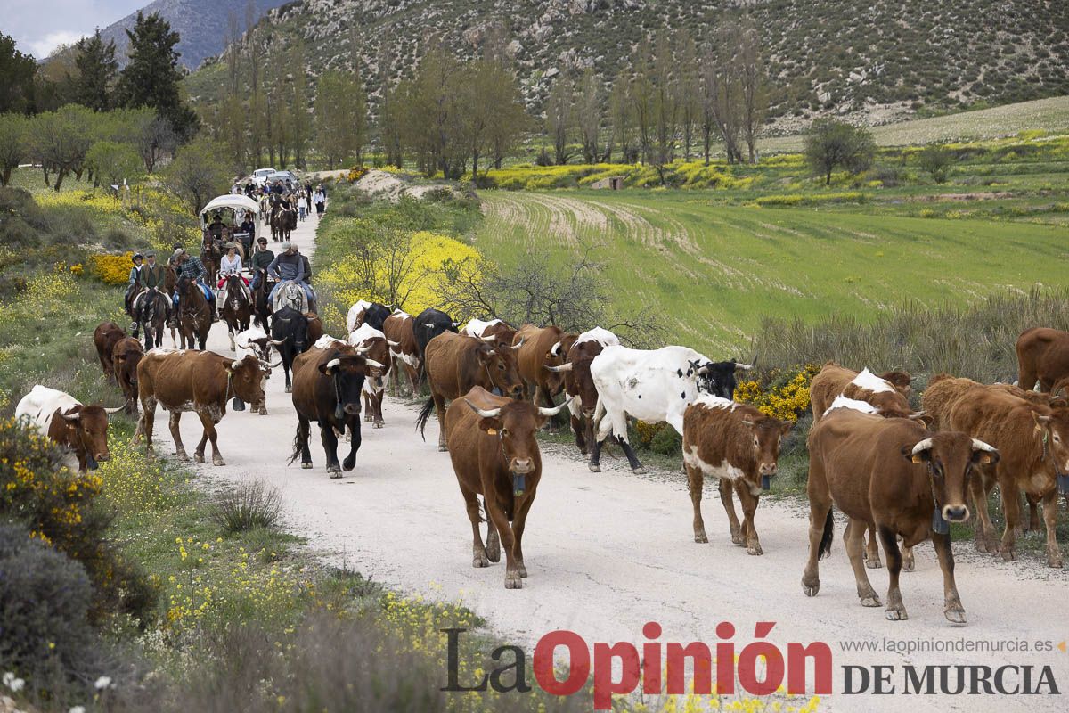 Jornada de Trashumancia en Caravaca