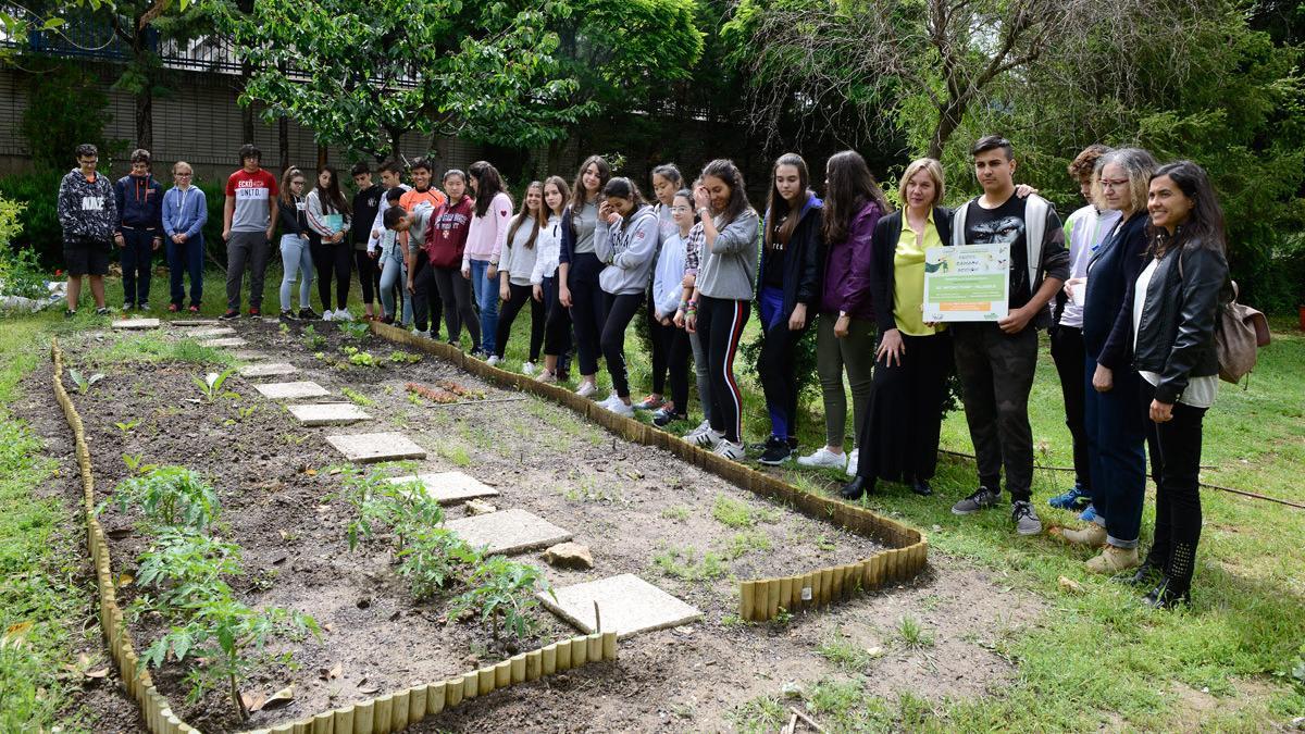 Huerto escolar en el IES Antonio Tovar de Valladolid