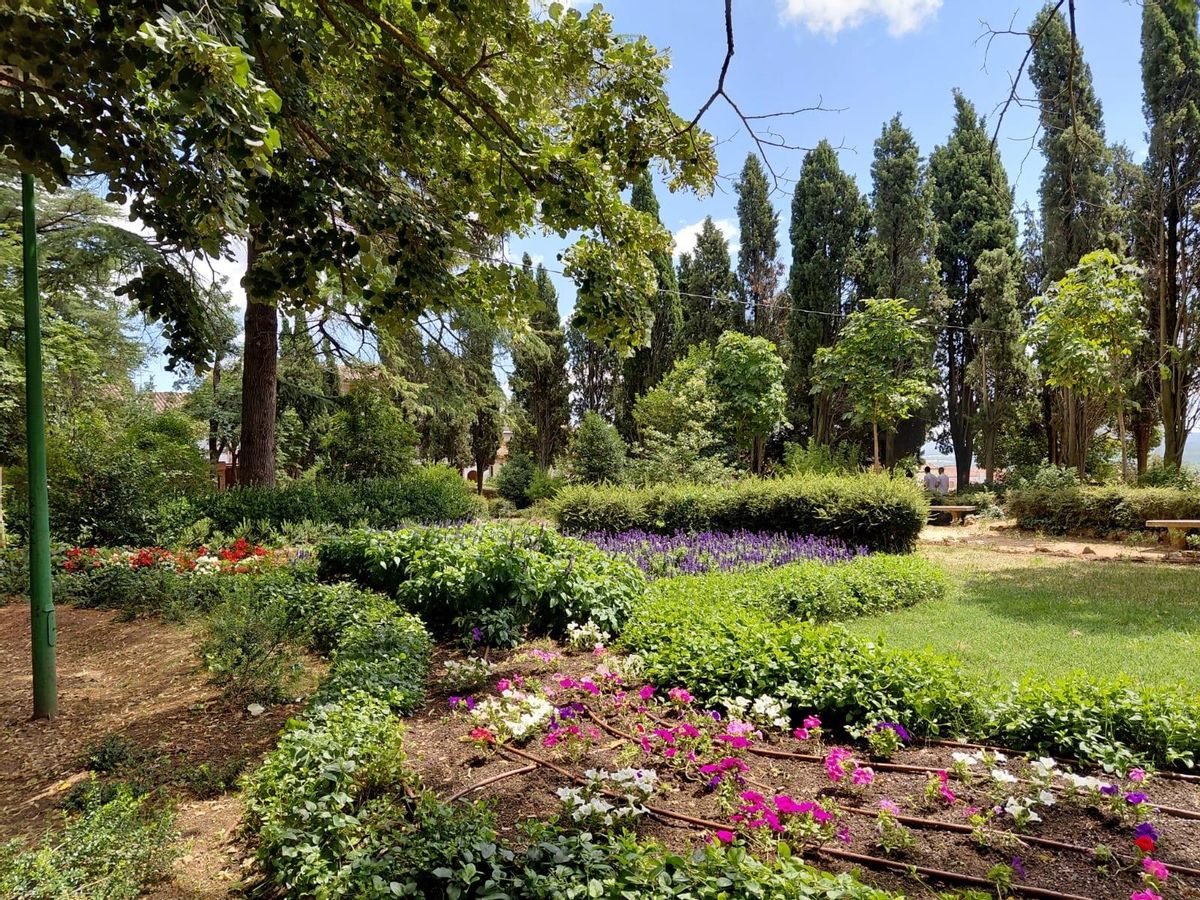 El verd dels arbres contrasta amb el color de les flors al parc de Moià