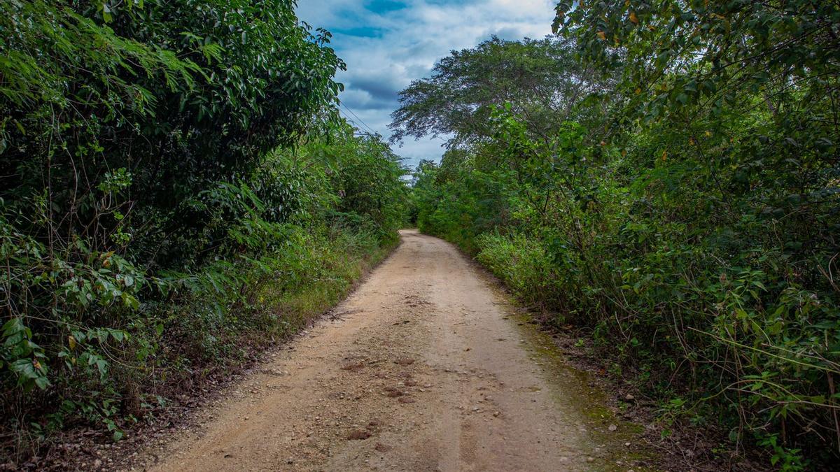 Rutas de senderismo para recorrer con la mente la República Dominicana