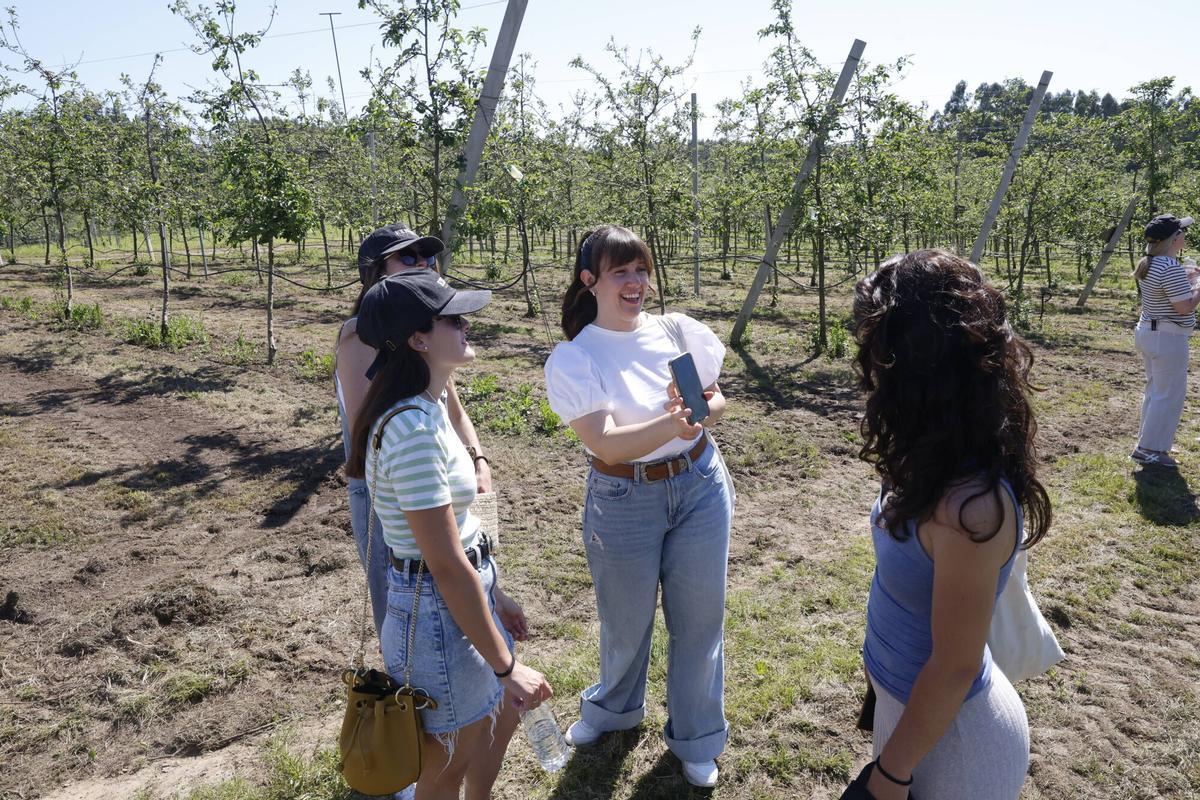 EN IMÁGENES: La Finca Gallinal abres sus puertas al "sidroturismos": una pumarada de 40 hectáreas y 20.000 manzanos