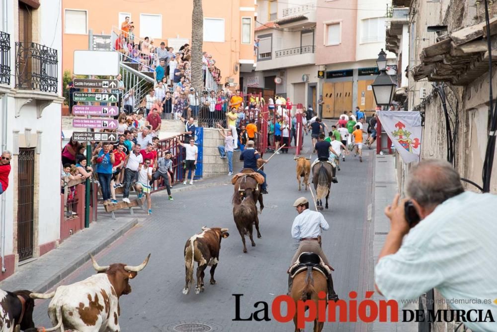 Último encierro en las Fiestas de Moratalla