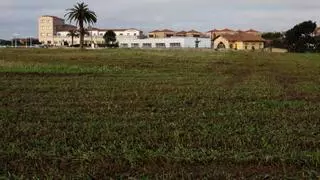 Gijón abrirá su playa verde del Rinconín el próximo verano, antes de iniciar las obras