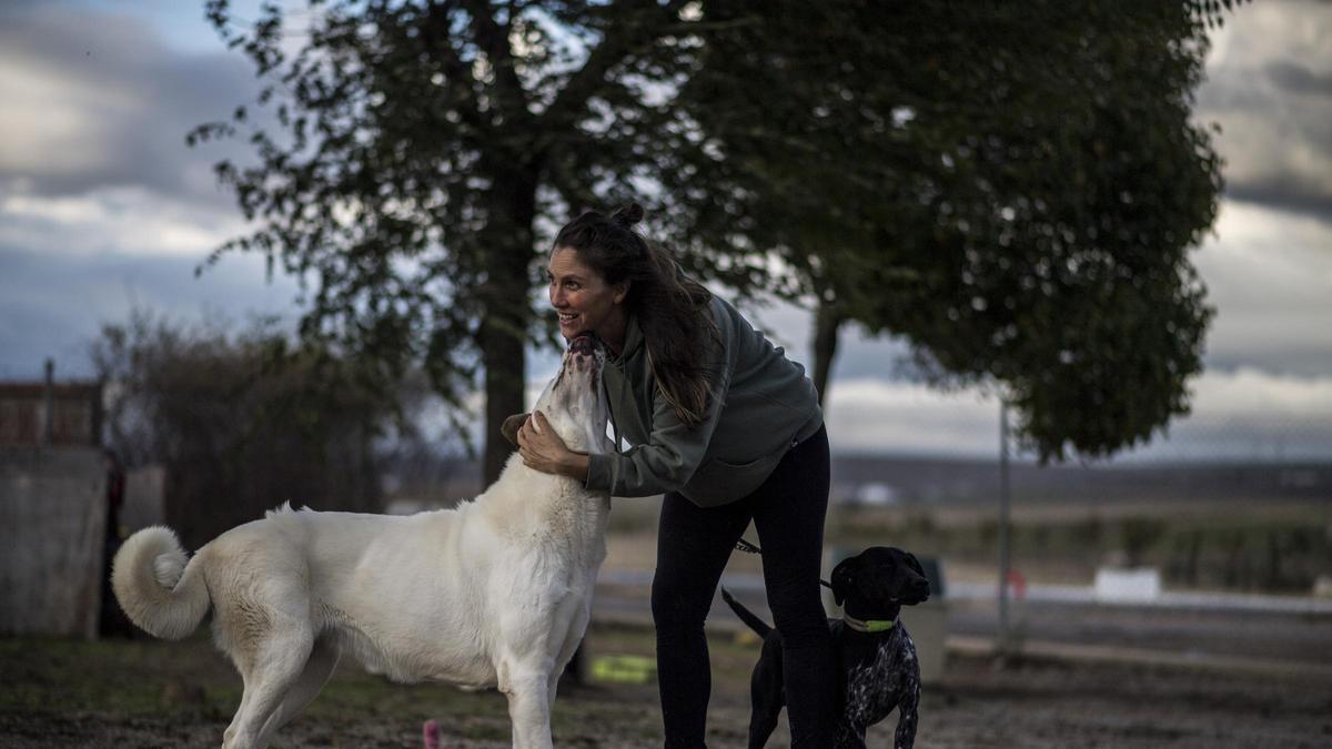 Imagen del Refugio de Animales San Jorge de Cáceres.