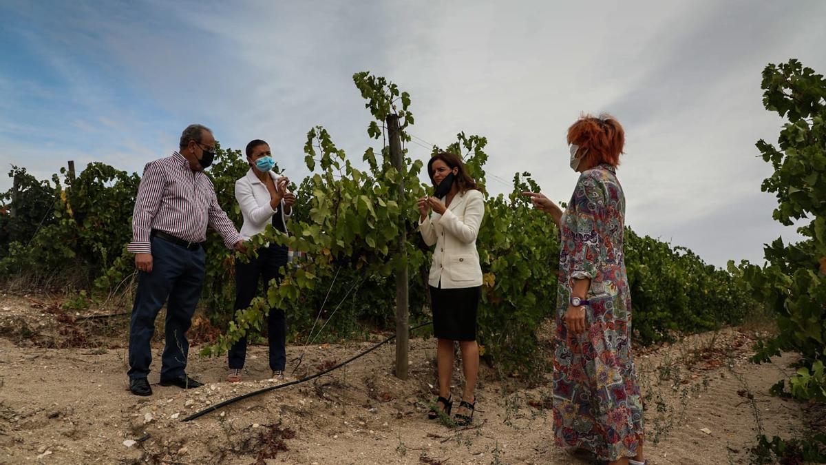 La consejera de Empleo e Industria, Carlota Amigo, visita las instalaciones de Hacienda Zorita Natural Reserve, en Fermoselle, en el inicio de la campaña de la vendimia.