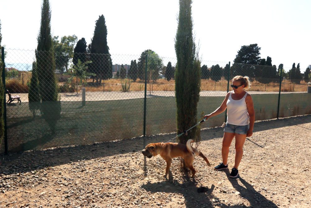 El parque canino sobre la mayor fosa común de la Guerra Civil