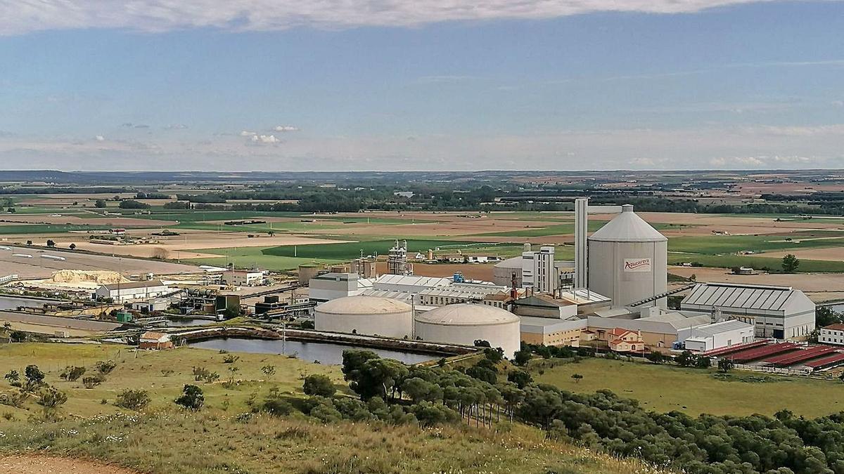 Instalaciones de recepción y molturación de la fábrica de Azucarera en el municipio de Toro. | M. J. C