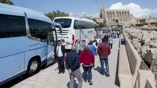 Excursiones de turistas: Transportistas y agencias de viajes en pie de guerra en Palma por las restricciones para aparcar en la Escollera