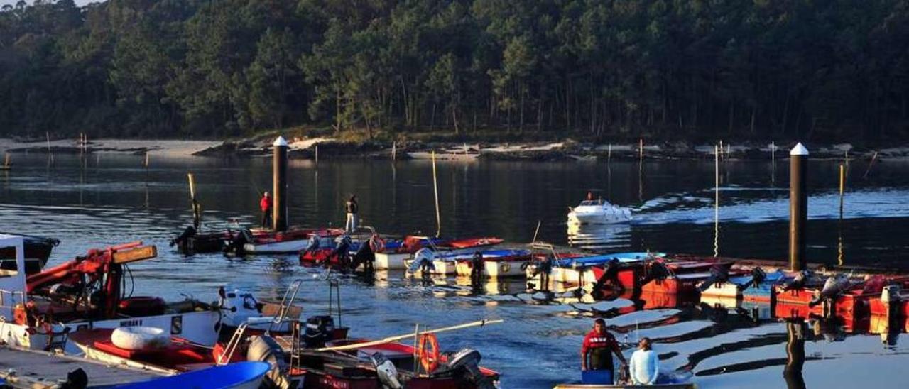 La isla de Cortegada situada frente a la costa de Carril. // Iñaki Abella