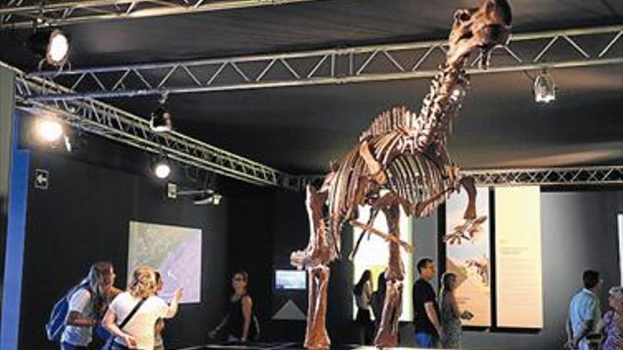 27 instituciones, con ‘Els nostres dinosaures’