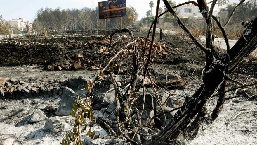 Denuncian al Ayuntamiento de Xàbia y al Consell por el incendio de la Granadella