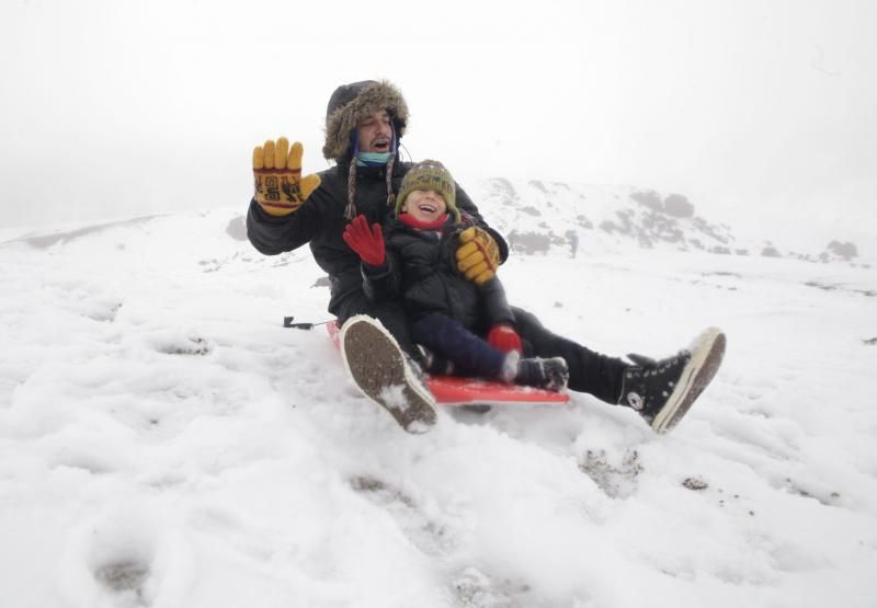 Visita al Teide nieve  | 06/12/2019 | Fotógrafo: Delia Padrón