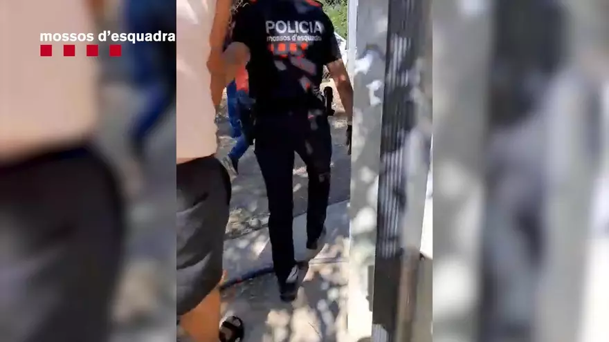 Vídeos del desmantellament i l'arrest dels dos homes que s'ocupaven d'una plantació de marihuana a Jorba