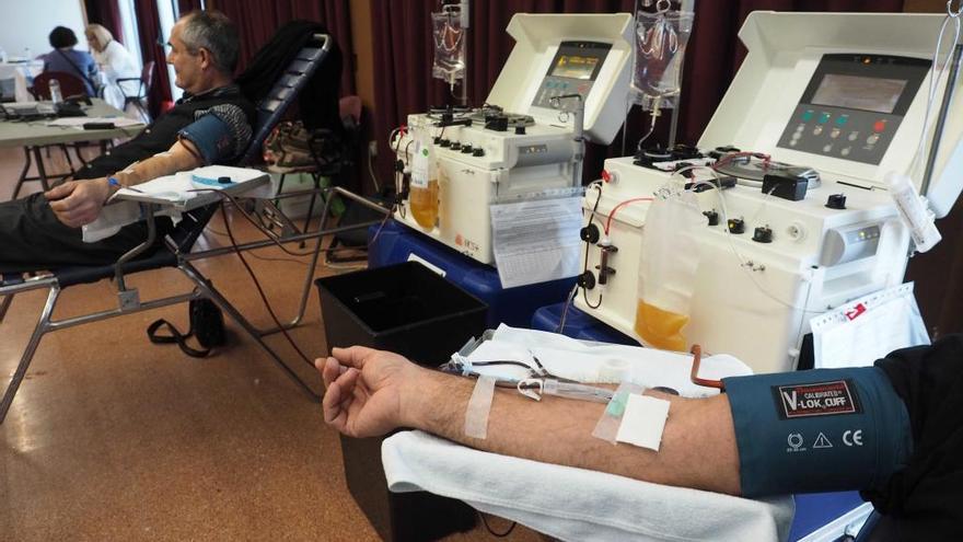La donació de plasma sanguini a les comarques gironines continua a l&#039;alça