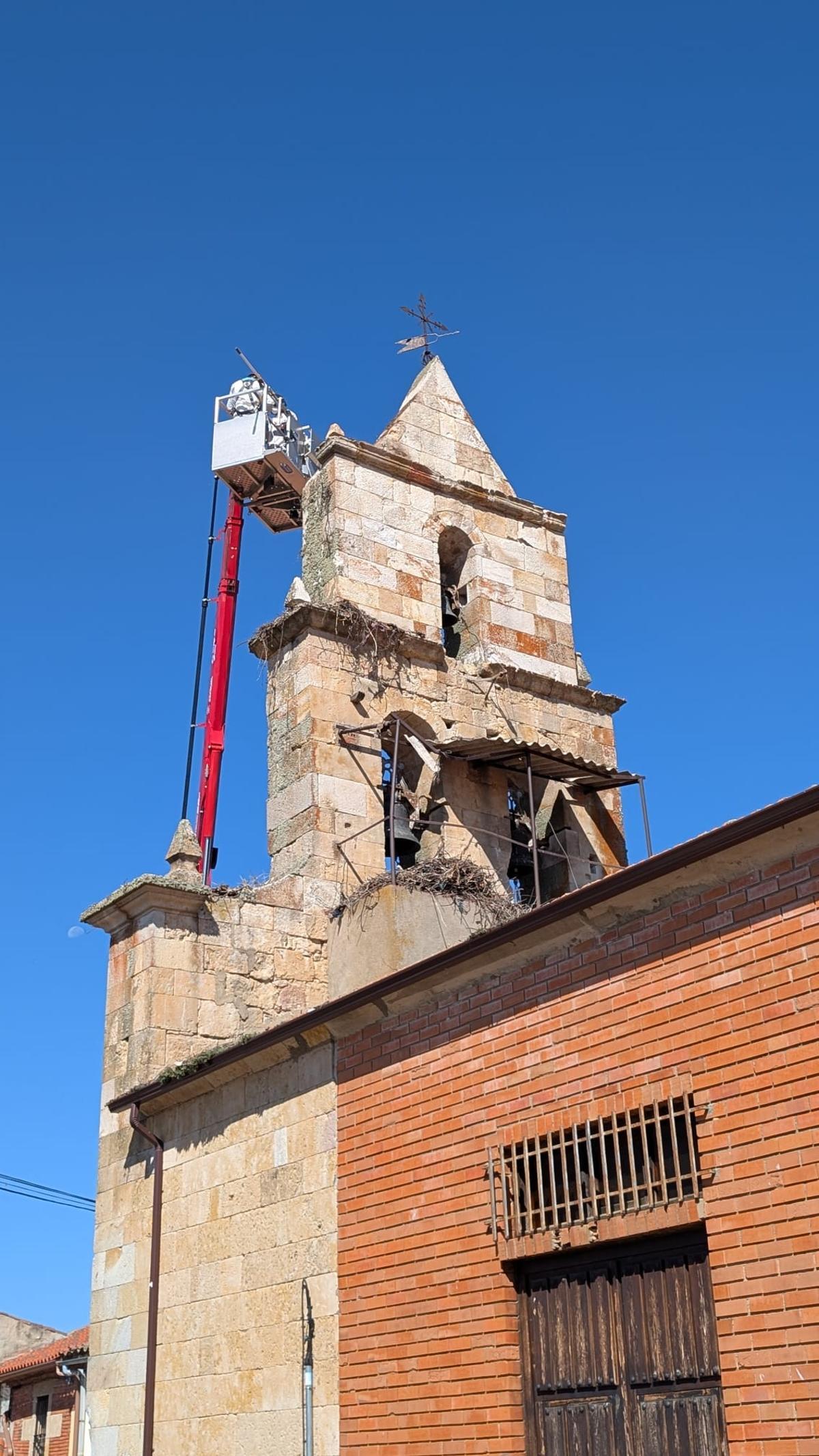 Retirada del nido de cigüeñas en Villanueva de Campeán
