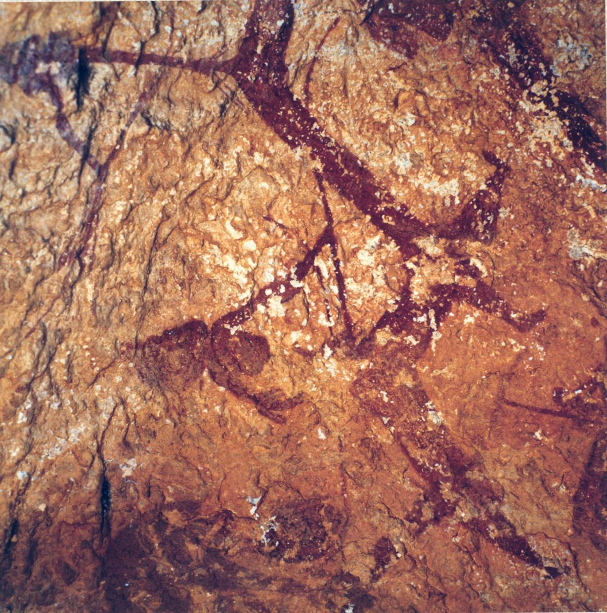 Art rupestre de la C. Valenciana.